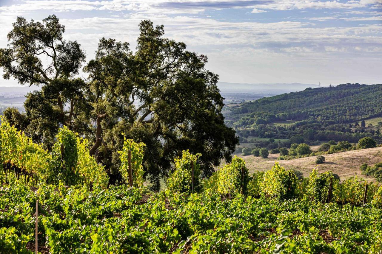 La Foresteria Di Rocca Di Frassinello Gavorrano Bagian luar foto
